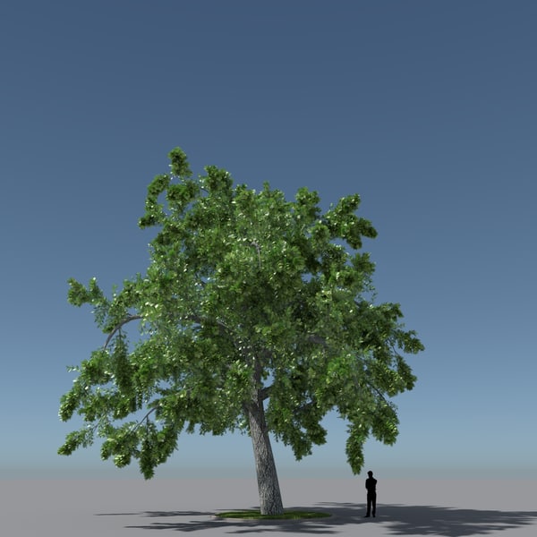 Free FBX Tree Models | TurboSquid