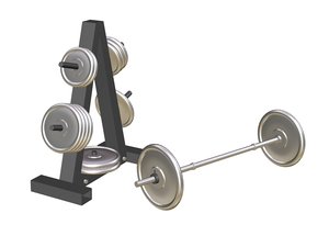 max weight plate rack