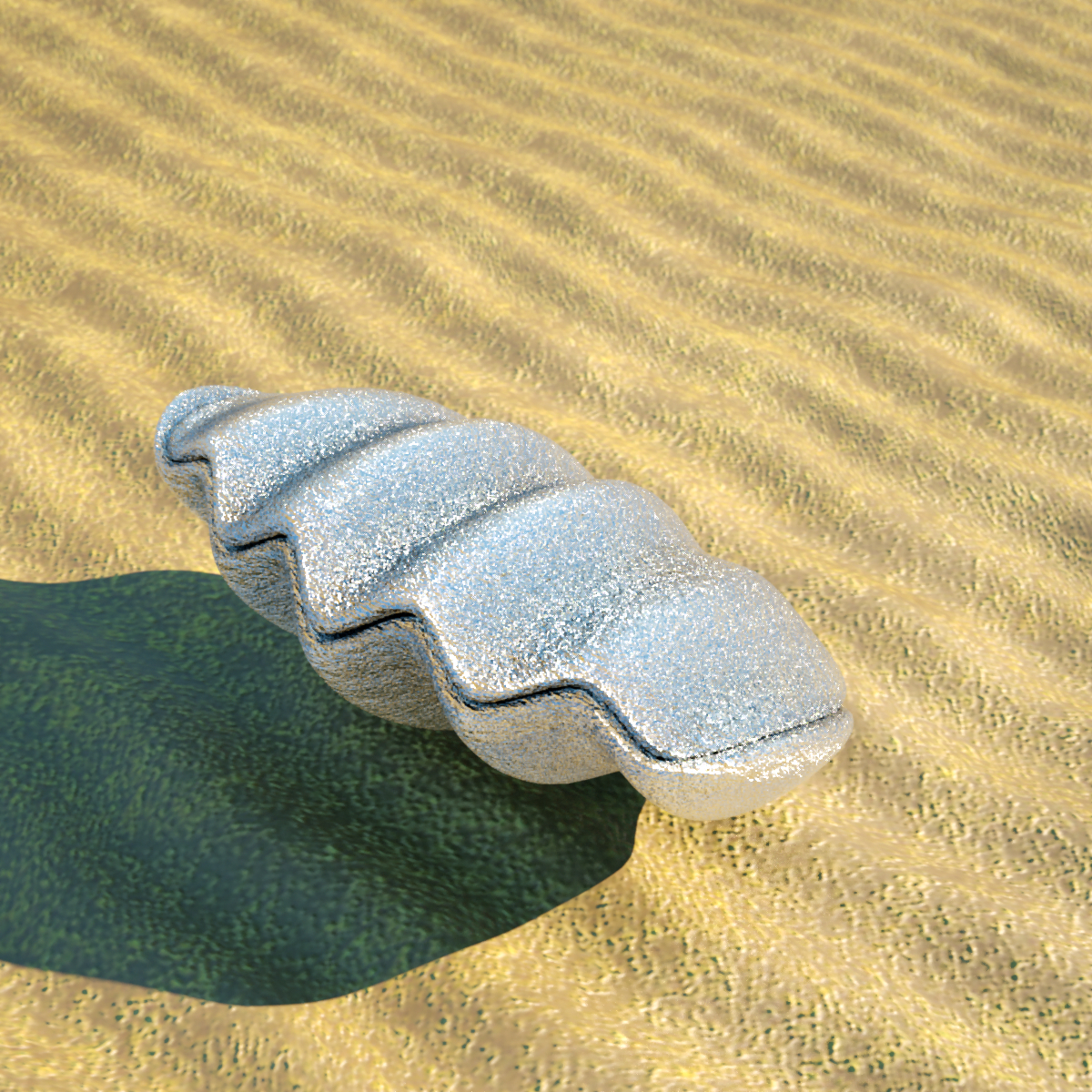 3d Model Clam Shell