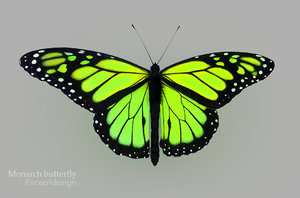 cinema4d green butterfly