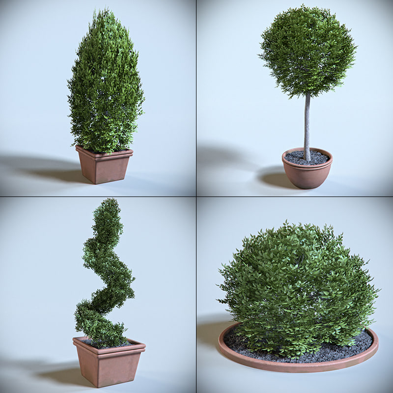 decoration shrub  3d  model 