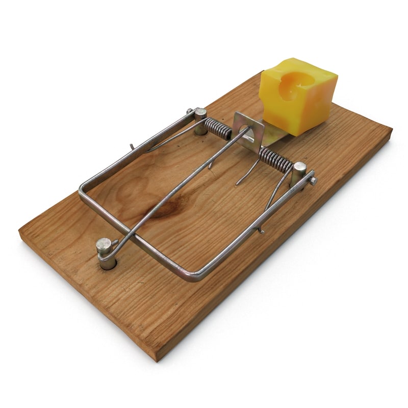 mousetrap cheese