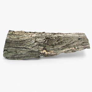 3d model wooden bark