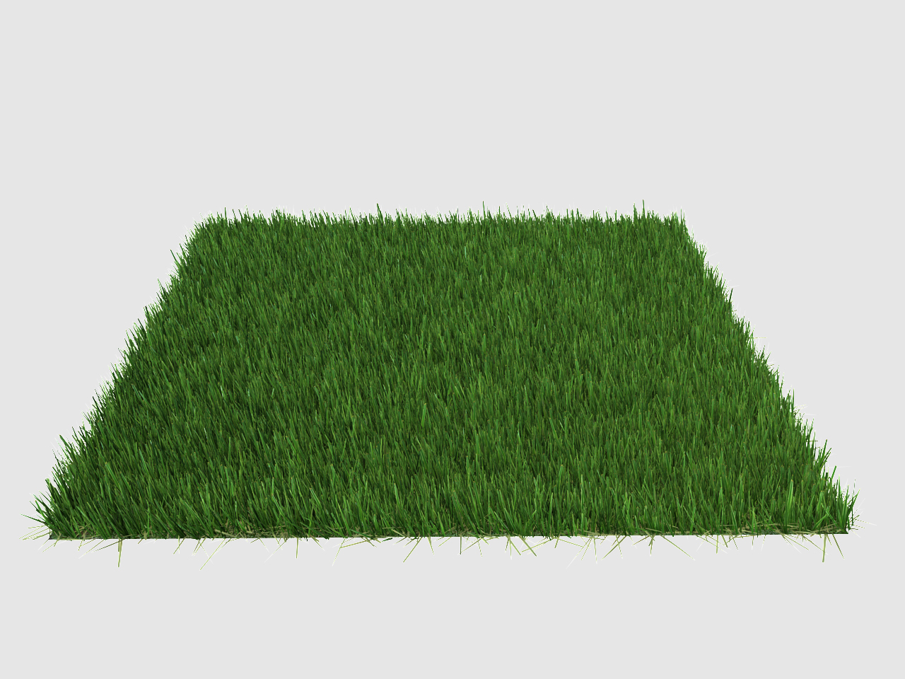 maya grass margerita