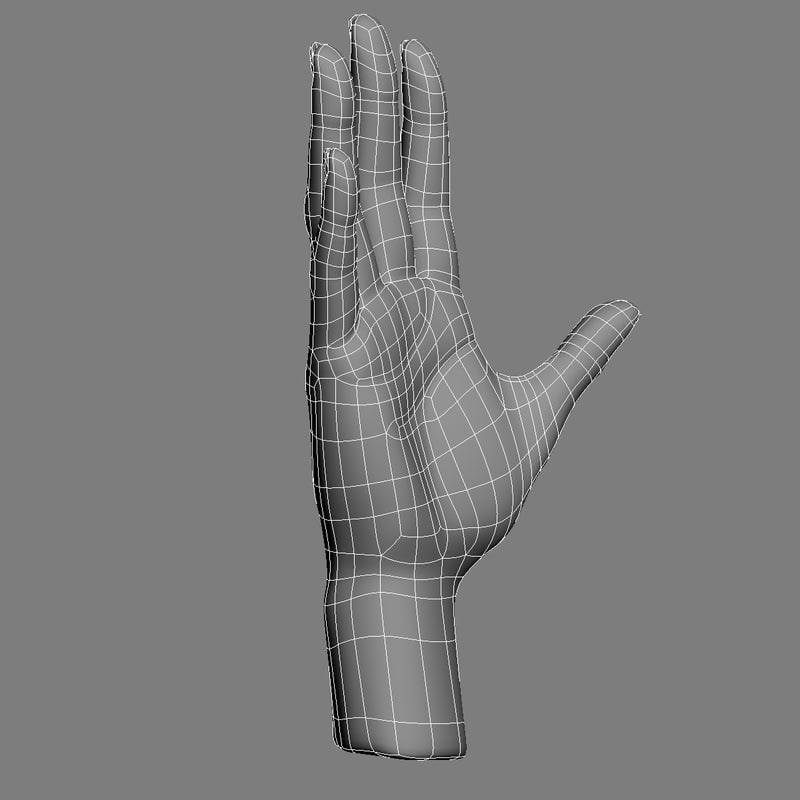 realistic female hand anatomy 3d max