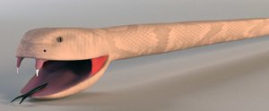 cartoony rattle snake 3d model