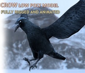 3d crow rigged animations model