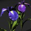 iris flowers 3d model