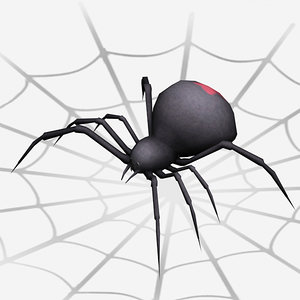 3d model black widow spider