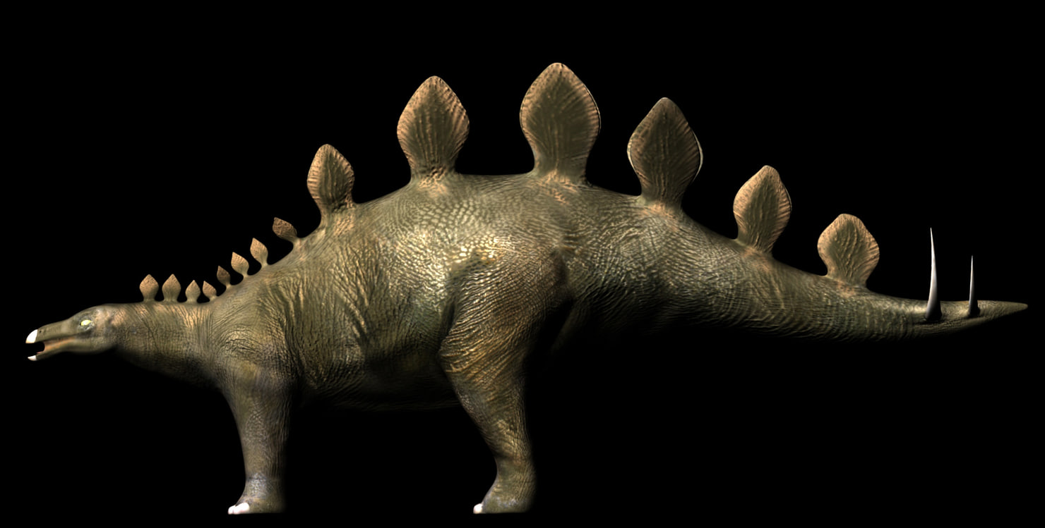 stegosaurus view in 3d