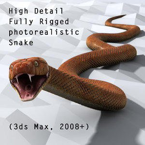 Snake 3D Models for Download | TurboSquid