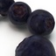 bilberries berries 3d model