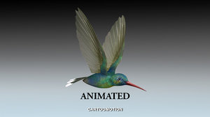 3d humming bird model