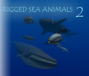 animal sea 3ds