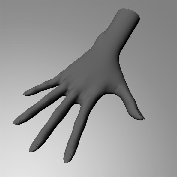 3d model female hand