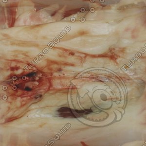 raw meat3.jpg