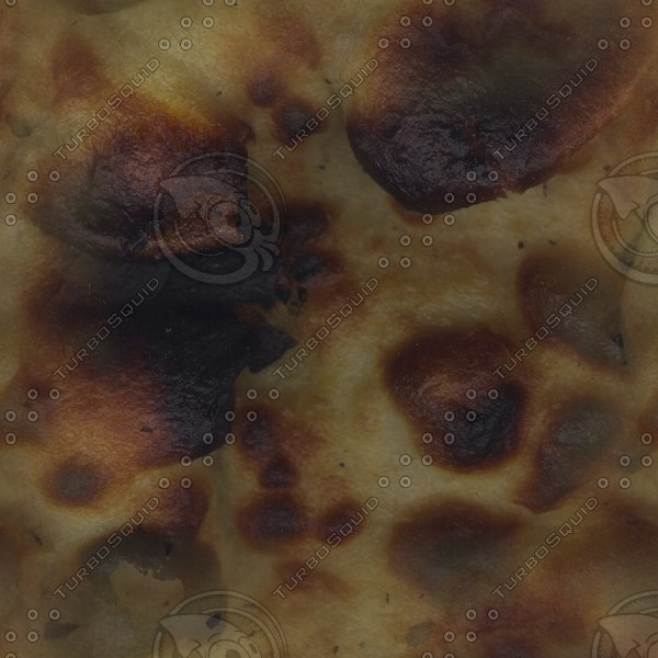 Texture JPEG tortilla burnt food