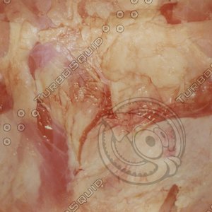 raw meat4.jpg