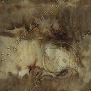 roast beef fat.jpg