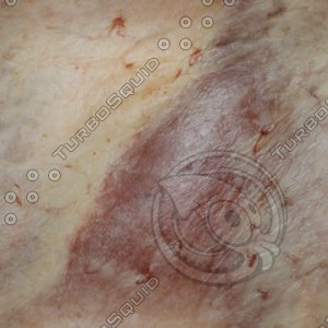 raw meat5.jpg