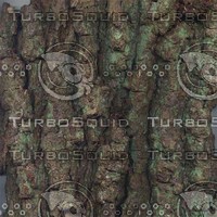 !clay fatbark source