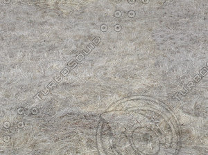 jbooth-seemless-drygrasses.jpg