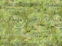 jbooth-seemless-grassymoss.jpg