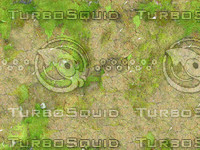 jbooth-seemless-mossandcrackedmud.jpg