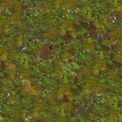  https://static.turbosquid.com/Preview/2014/08/01__11_29_17/JBooth-Seemless-MultiColorMoss.jpgjpgD6E222D5-F5C8-468F-8AA2CBA55AB27C82.jpg15AEB041-D355-427F-B6E4EF4BE053D7FELarger.jpg