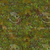 jbooth-seemless-multicolormoss.jpg