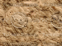 JBooth-Seemless-coral.jpg