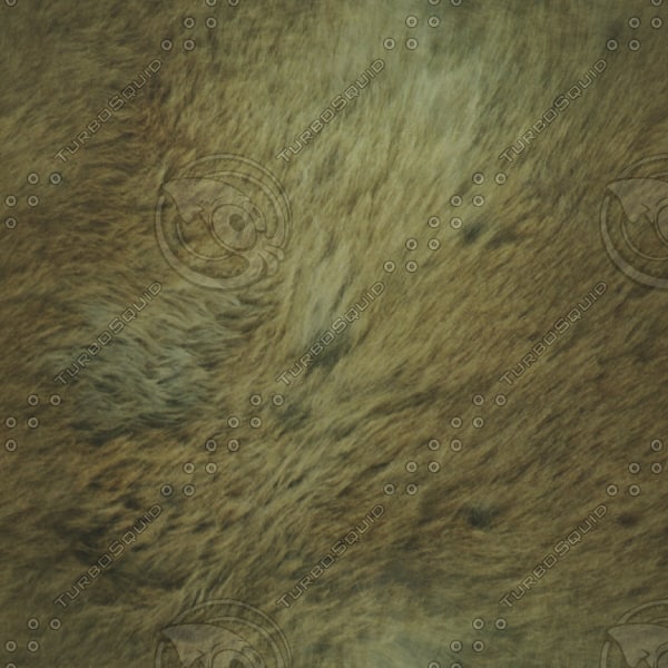  https://static.turbosquid.com/Preview/2014/08/01__11_29_17/L25.jpgD4C42E12-DE29-41A6-80EE17830D2BAED0Larger.jpg