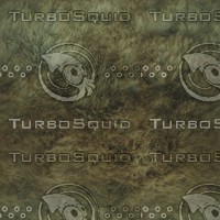 dark fur.jpg