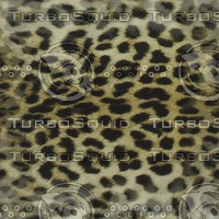 leopard skin.jpg