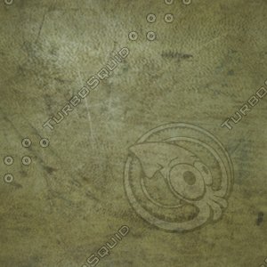 moldy paper.jpg