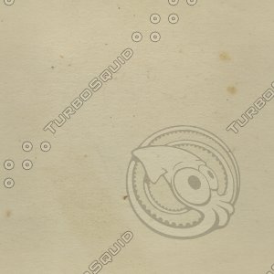 speckled paper.jpg