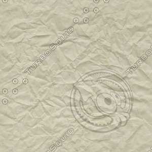 crumbled white paper.jpg