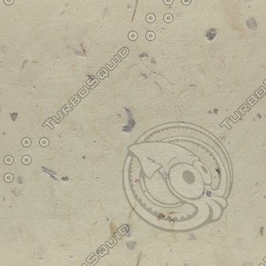 speckled paper.jpg