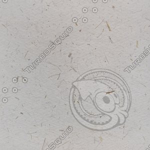 speckled paper2.jpg