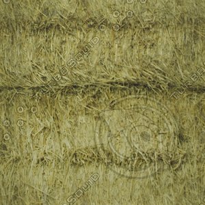 hay.jpg