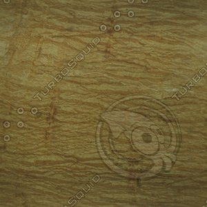 dried leaf.jpg