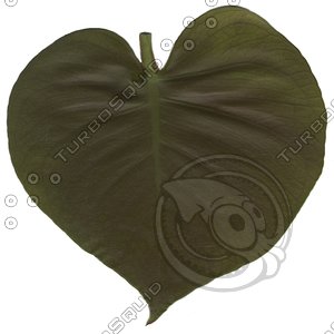 green leaf5.jpg