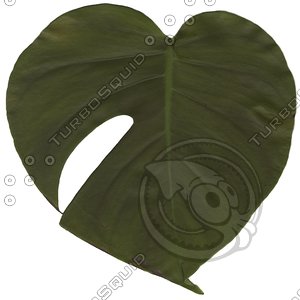 green leaf7.jpg