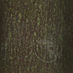abstract trunk2.jpg