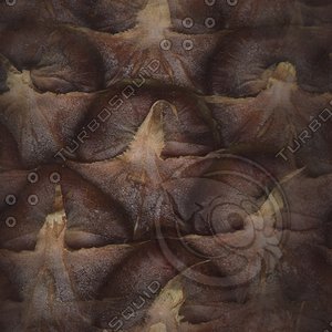 pinecone.jpg