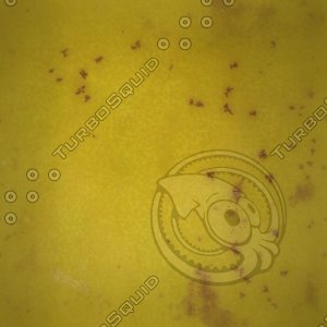 smooth yellow fruit.jpg