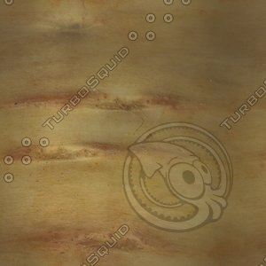 plant root2.jpg