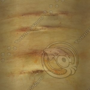plant root3.jpg