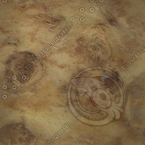 plant root4.jpg