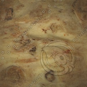 plant root5.jpg